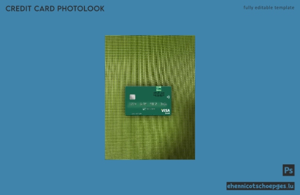 Libya Sahara Bank Visa Debitkarte – Fotobeispiel-Vorschau